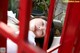 A woman with a tattoo on her arm leaning against a red fence.