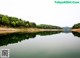 A large body of water surrounded by trees.